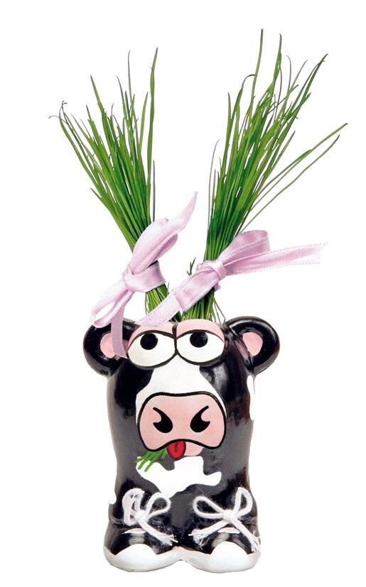 Munakuppi Cow with grass hair seeds