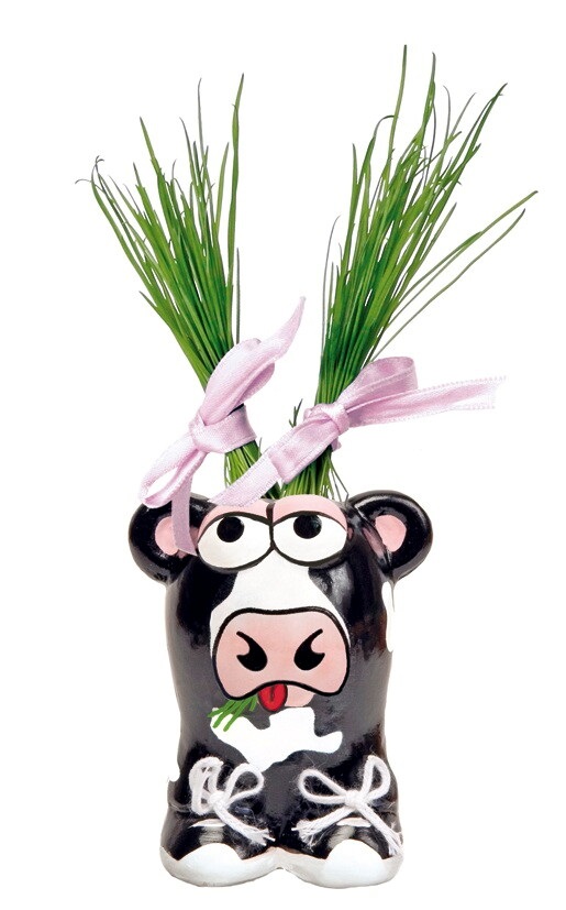 Munakuppi Cow with grass hair seeds Munakuppi Cow with grass hair seeds