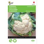 Cauliflower Seeds