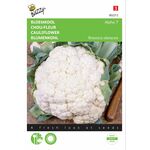 Cauliflower Seeds Alpha