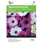 Spanish daisy flower seeds