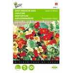 Nasturtium flower seeds mini