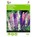 Larkspur flower seeds