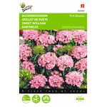 Sweet William seeds