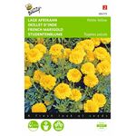 yellow french marigold flower seeds