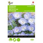 baby blue eyes flower seeds