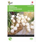 Pickling Onion Seeds