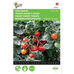 Dwarf Cherry Tomato seeds Tiny Tim