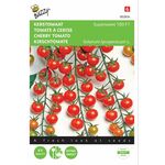 Cherry Tomato seeds F1