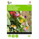 flower seeds for climbing plants