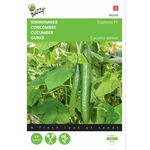 Cucumber seeds Euphoria F1 hybrid