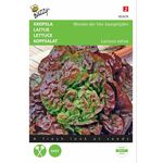 Lettuce Besson Seeds