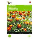 French marigold seeds Petite