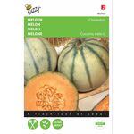 Melon Cantaloup Seeds