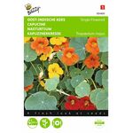 climbing nasturtium flower seeds