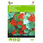 Nasturtium red flower seeds