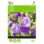 petunia flower seeds