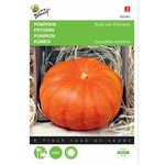 Pumpkin Seeds Red Etampes