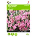Pink Sweat Peas flower seeds