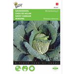Savoy Cabbage seeds