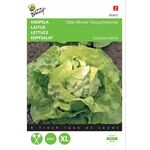 Lettuce seeds Paresseuse