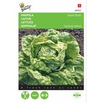 lettuce seeds