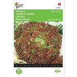 Lettuce seeds Lollo Rossa