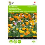 Californian Poppy Flower seeds