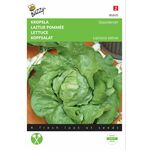 Lettuce seeds Rhénania