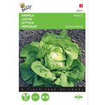 Lettuce seeds Hilde II