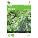 Leaf Lettuce Seeds