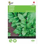 Spinach seeds Viroflex