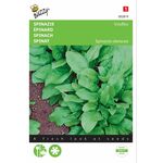 Spinach seeds Viroflex