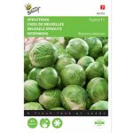 Brussels Sprouts Seeds hybrid