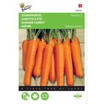 Summer Carrot Nantes seeds