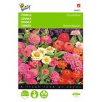 zinnia flower seeds