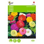 Zinnia Dahlia flower seeds