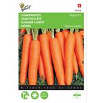 Summer Carrot Seeds F1