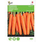 Summer Carrot Seeds F1