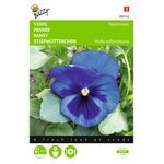 pansy seeds blue