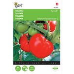 Tomato seeds Pyros F1 hybrid