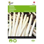Asparagus Argenteuil