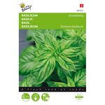 Sweet Basil Large Leaved