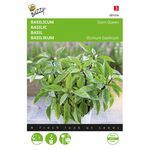 Sweet Basil Siam Queen