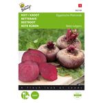 Beetroot Egyptian Turnip Rooted