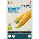 Organic Sweet corn Golden Bantam