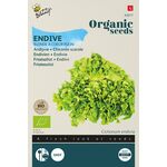 Organic Winter Endive