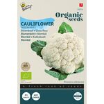 Organic Cauliflower Goodman F1