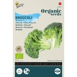 Organic Broccoli Belstar F1