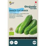 Organic Cucumber Snack Picolino F1